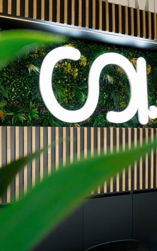Le Mix Tasseau Bois / Végétal : une alliance moderne pour votre espace commercial